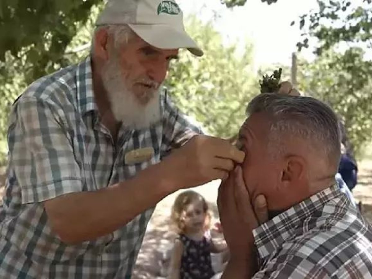 Kırlangıç otu göz bozukluklarını tedavi edebiliyor mu? Gözlük kullananlara yeni çare