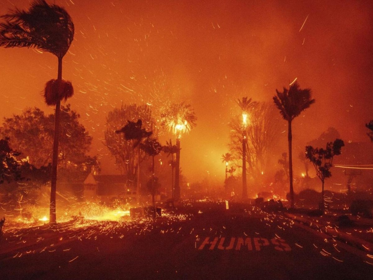 Los Angeles’ı kasıp kavuran rüzgar: Santa Ana!